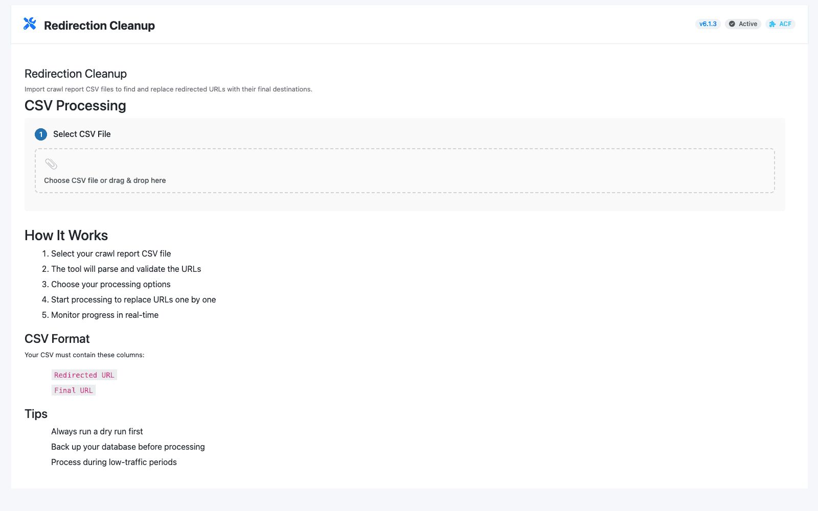 Redirection cleanup workflow with CSV upload, dry-run controls, progress metrics, and an activity log.
