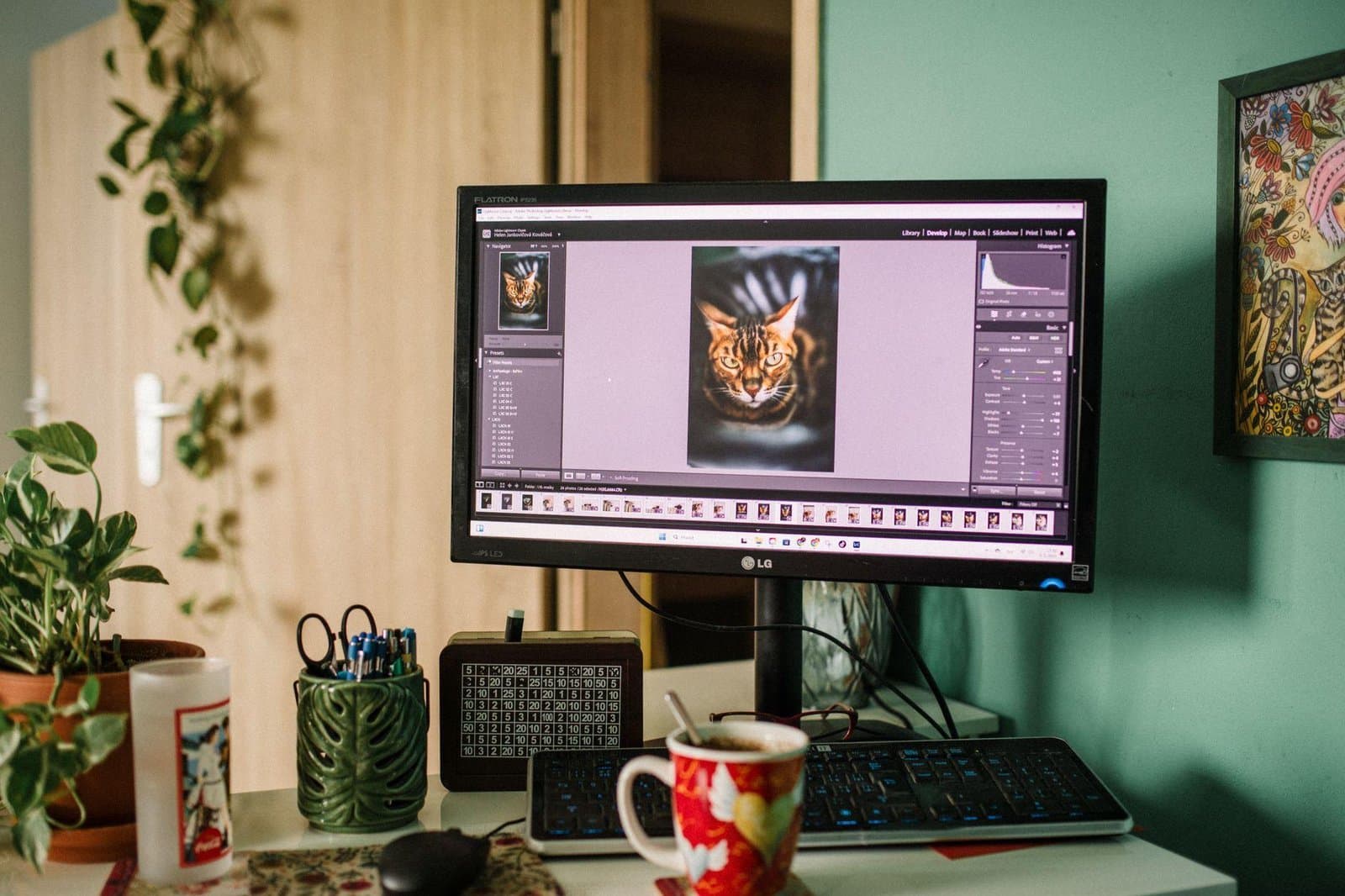 WordPress Is Moving Image Processing Into the Browser